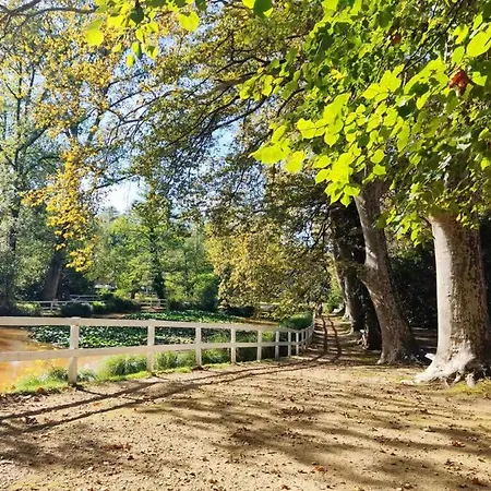 Lägenhet T1 Bis De 27m2 A Barbotan -minimum 21 Nuits - Au Calme #vacances#cure-lac Et Piscine A 1 Km, *